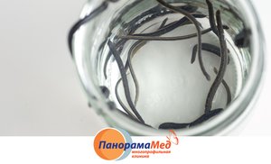 Гирудотерапия в гинекологии Гирудотерапия в гинекологии