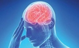 Как не допустить инсульт Как не допустить инсульт