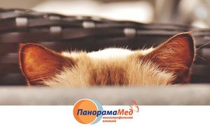 Берегите ваши уши Берегите ваши уши