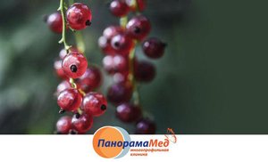 Смородина против болезни Альцгеймера Смородина против болезни Альцгеймера
