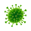 Антитела IgM, IgG к коронавирусу