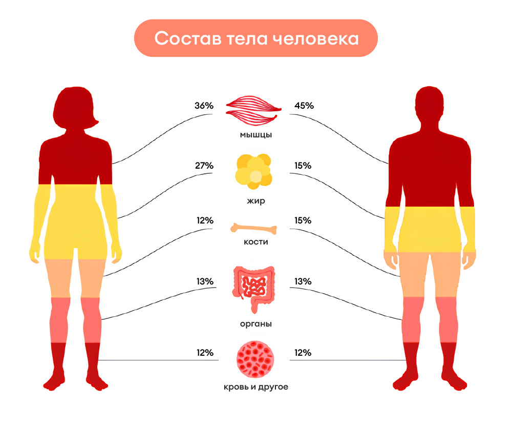Что показывает биоимпеданс