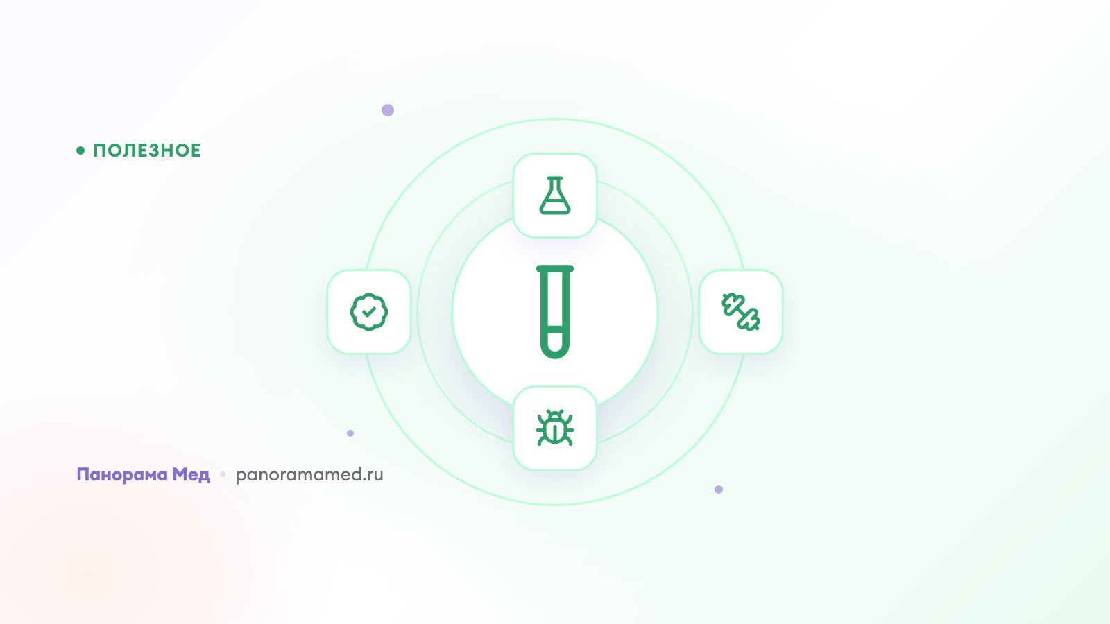 Анализы для проверки всего организма