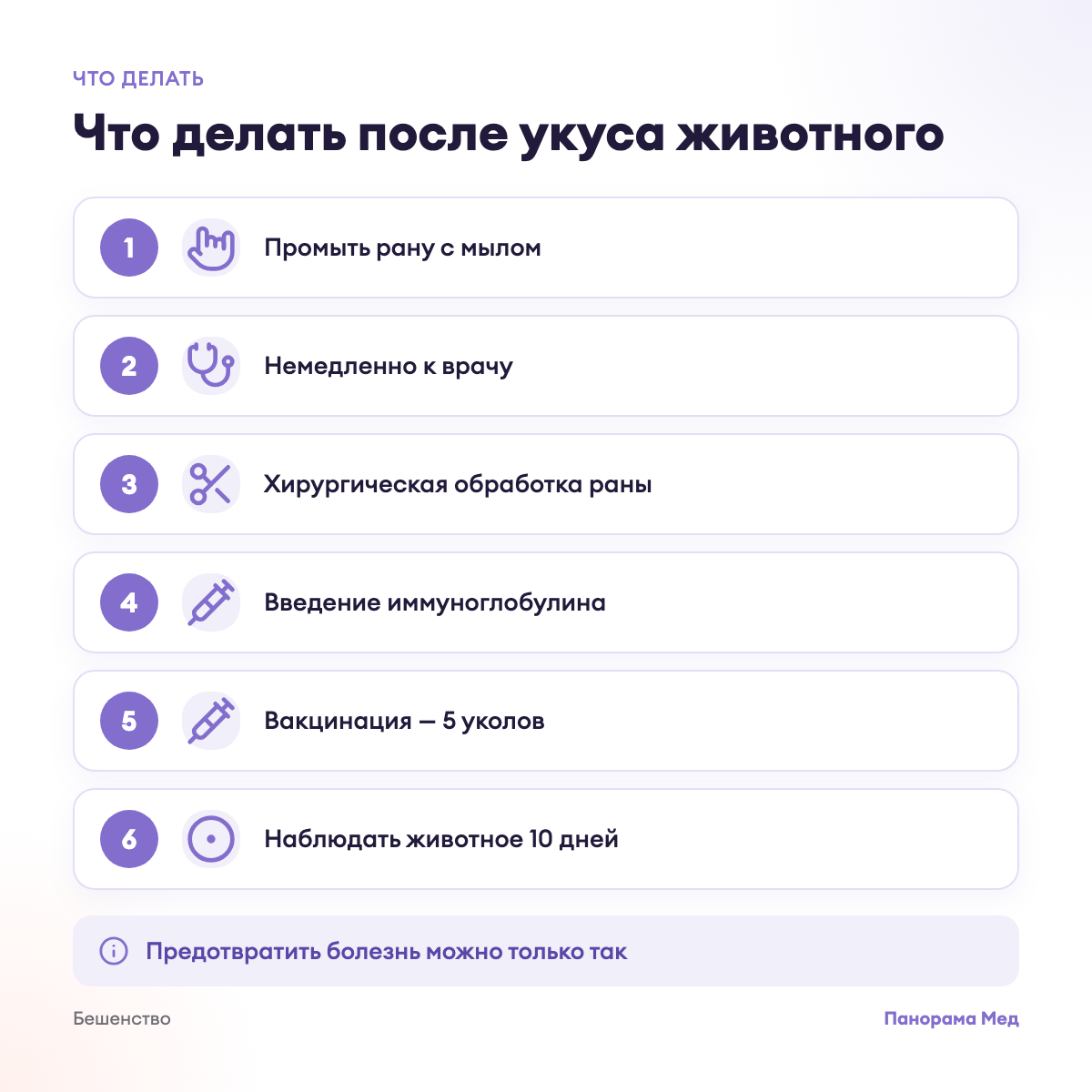 Что делать после укуса животного