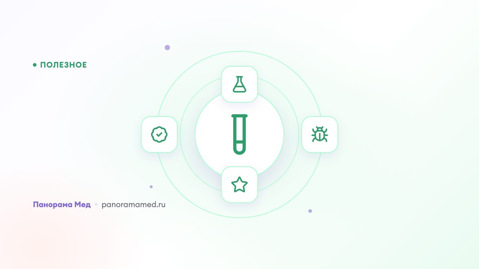 Что такое чек ап