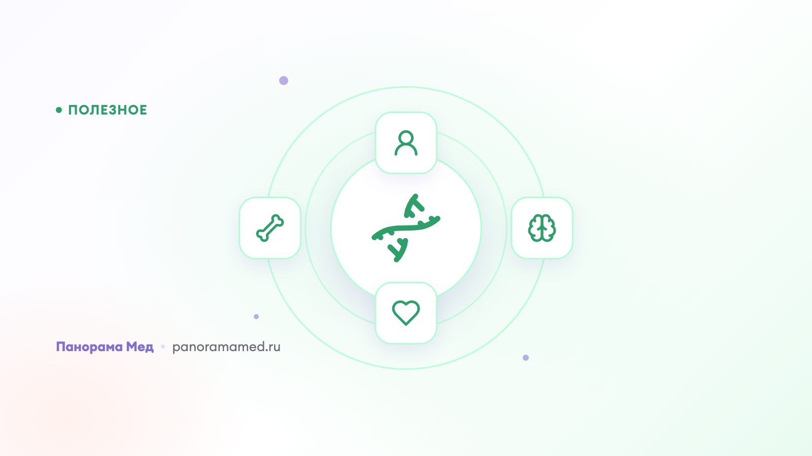 Эстрогены: повышены, понижены, как нормализовать
