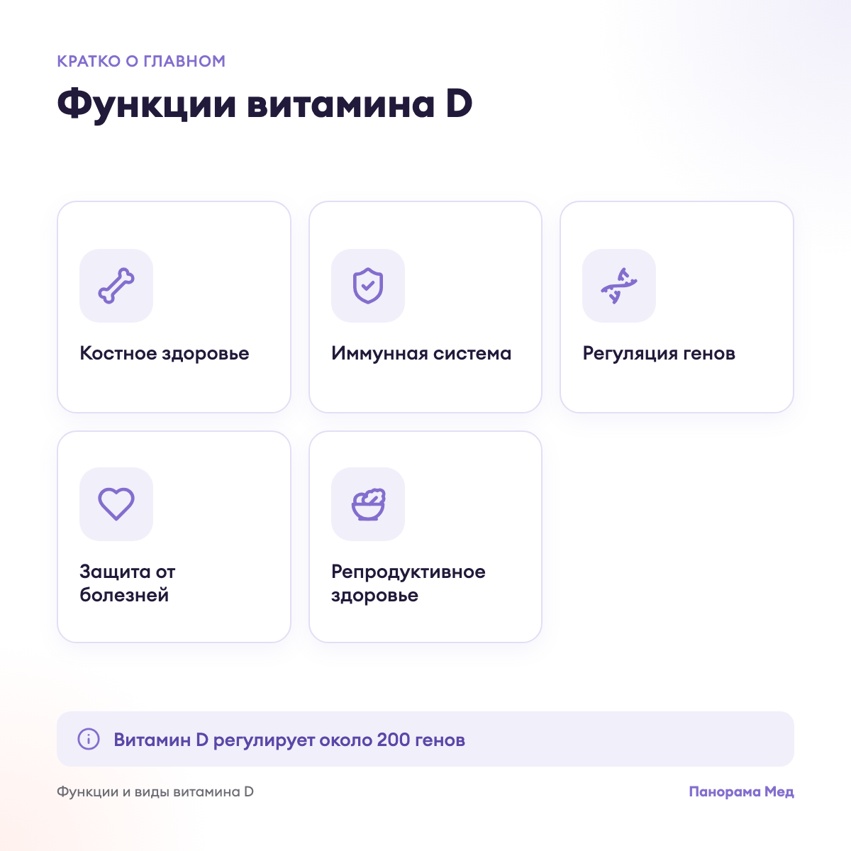 Функции витамина D