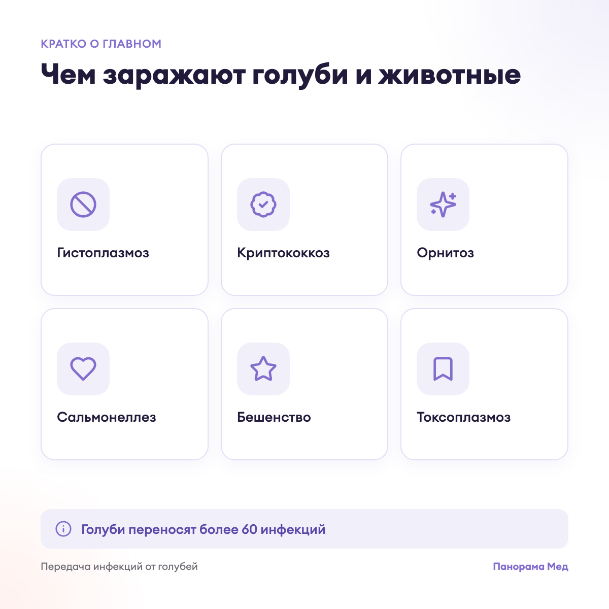 Чем заражают голуби и животные