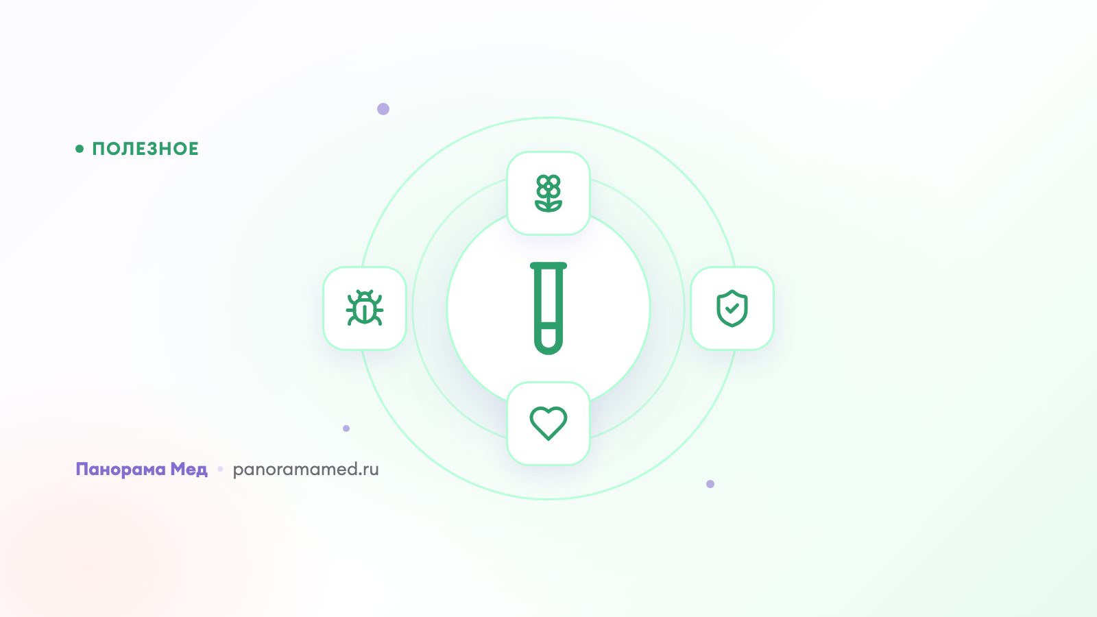 Как проверить иммунитет: обзор анализов