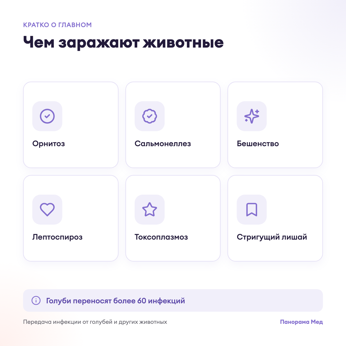 Чем заражают животные