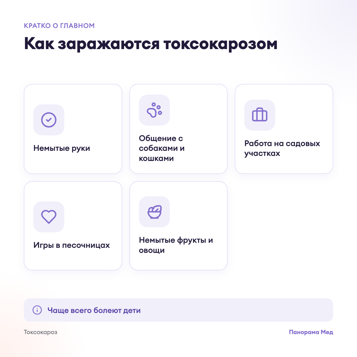 Как заражаются токсокарозом