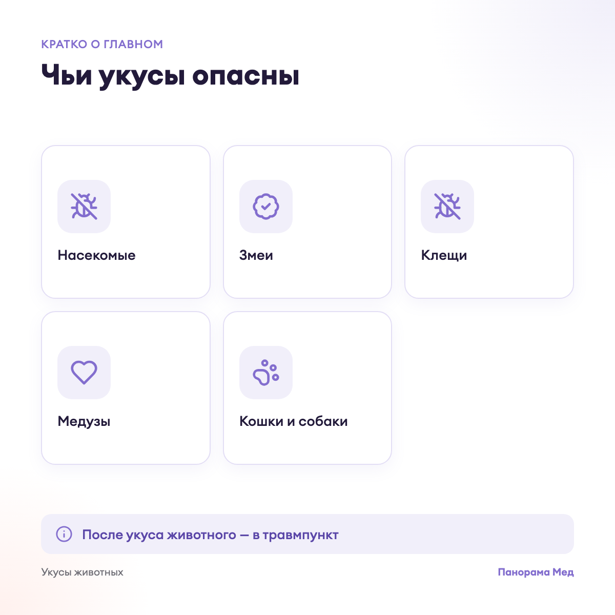 Чьи укусы опасны