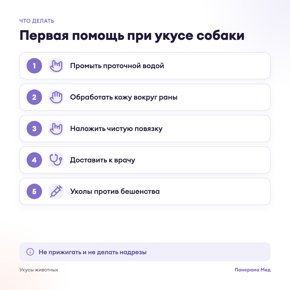 Первая помощь при укусе собаки